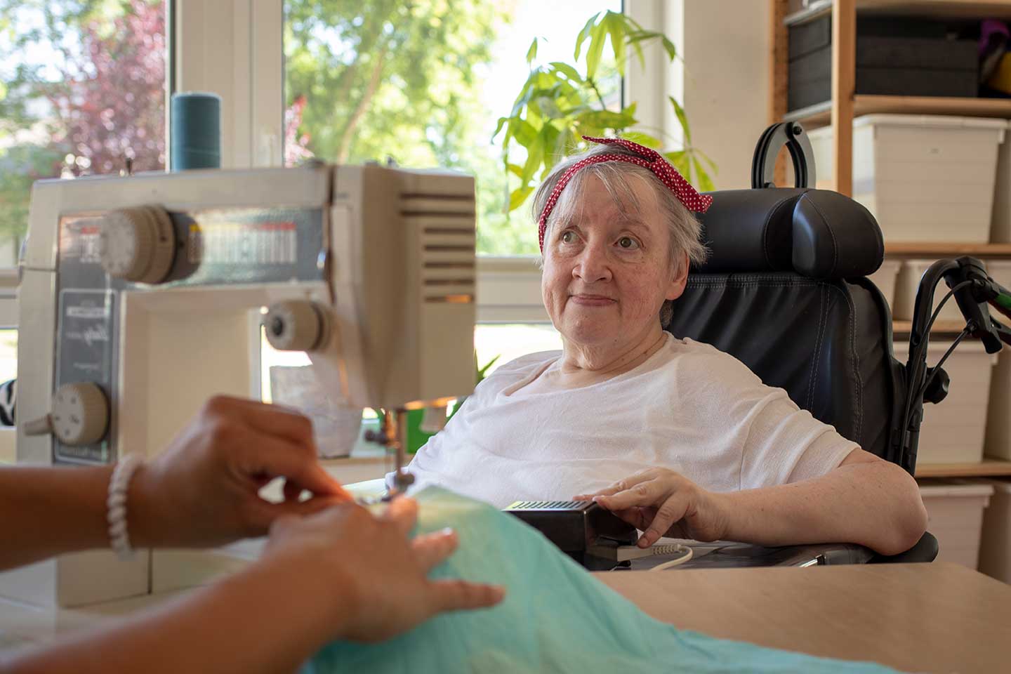 ahornallee2 post-img