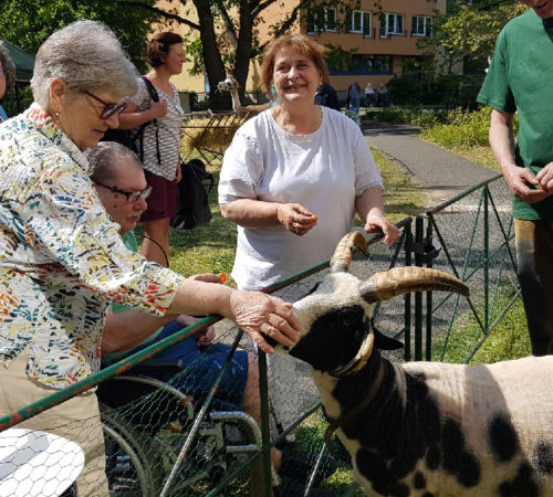 Rollende Arche mit Tieren zum Streicheln im Seniorenzentrum